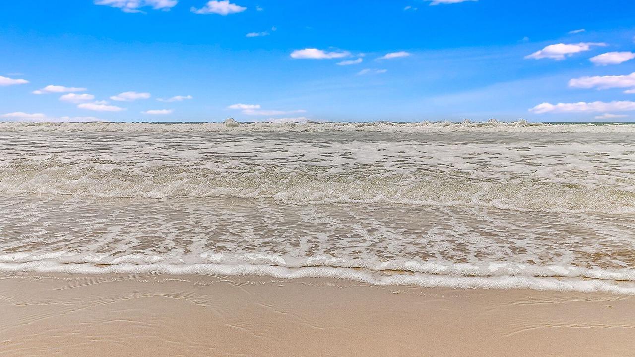 Photo of Others in Pierpont Bay