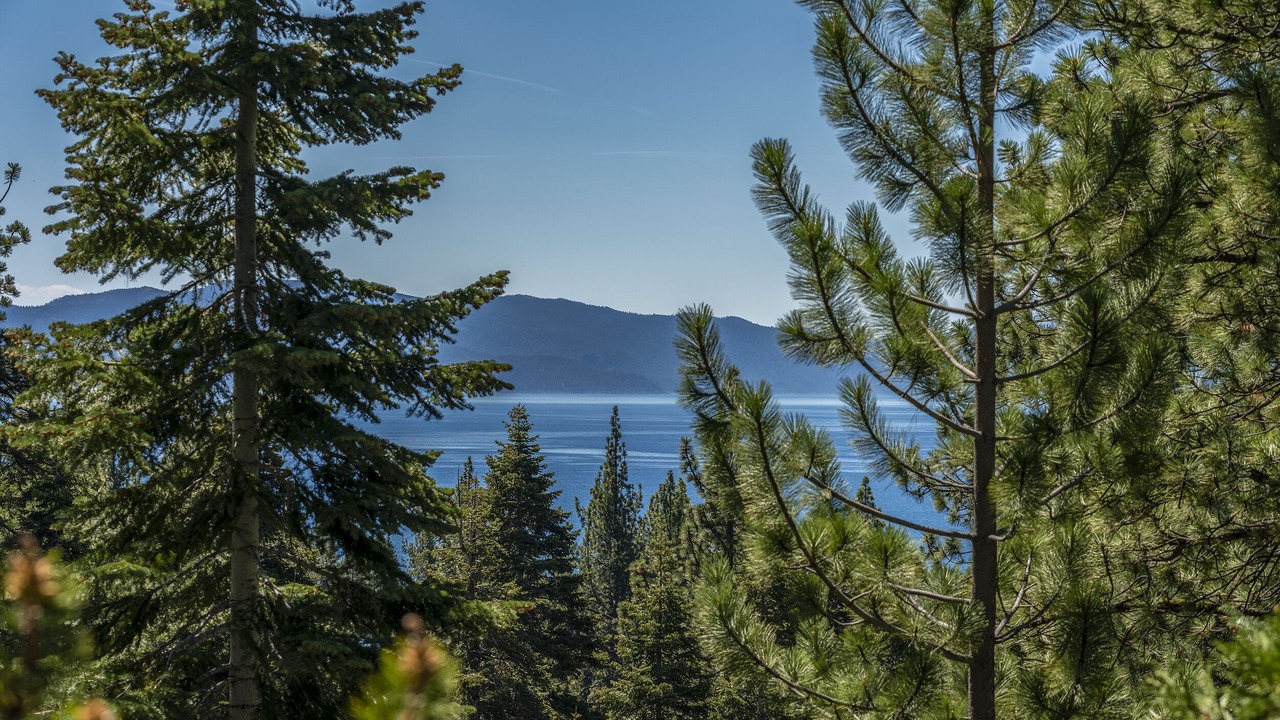Photo of Others in Tahoe Vista