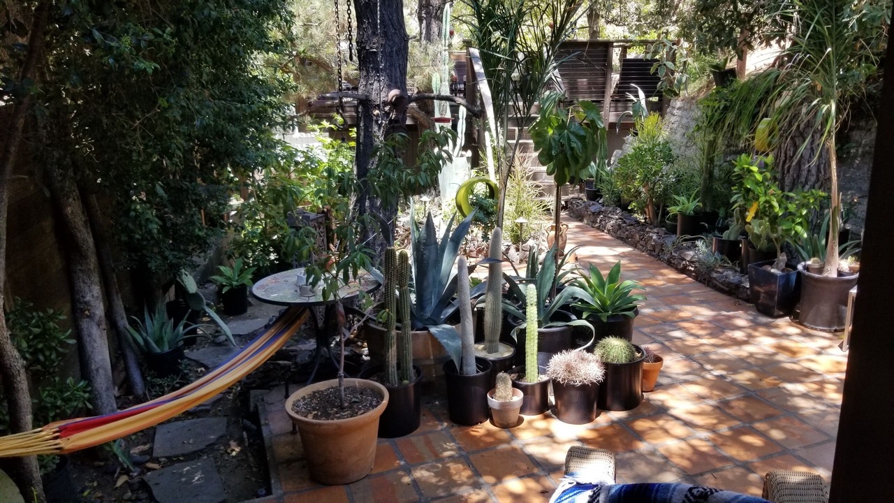 Photo of Outdoor in Beverly Glen