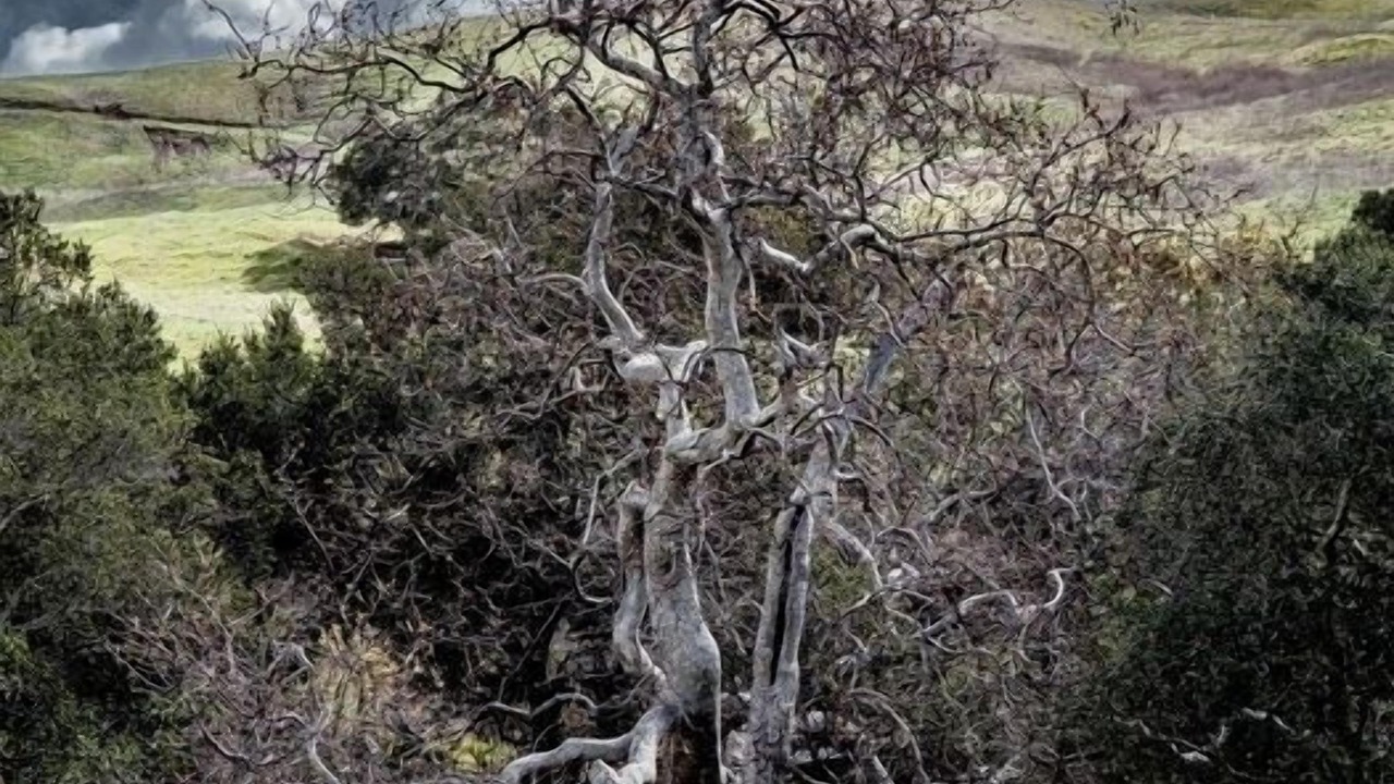 Photo of Others in San Luis Obispo