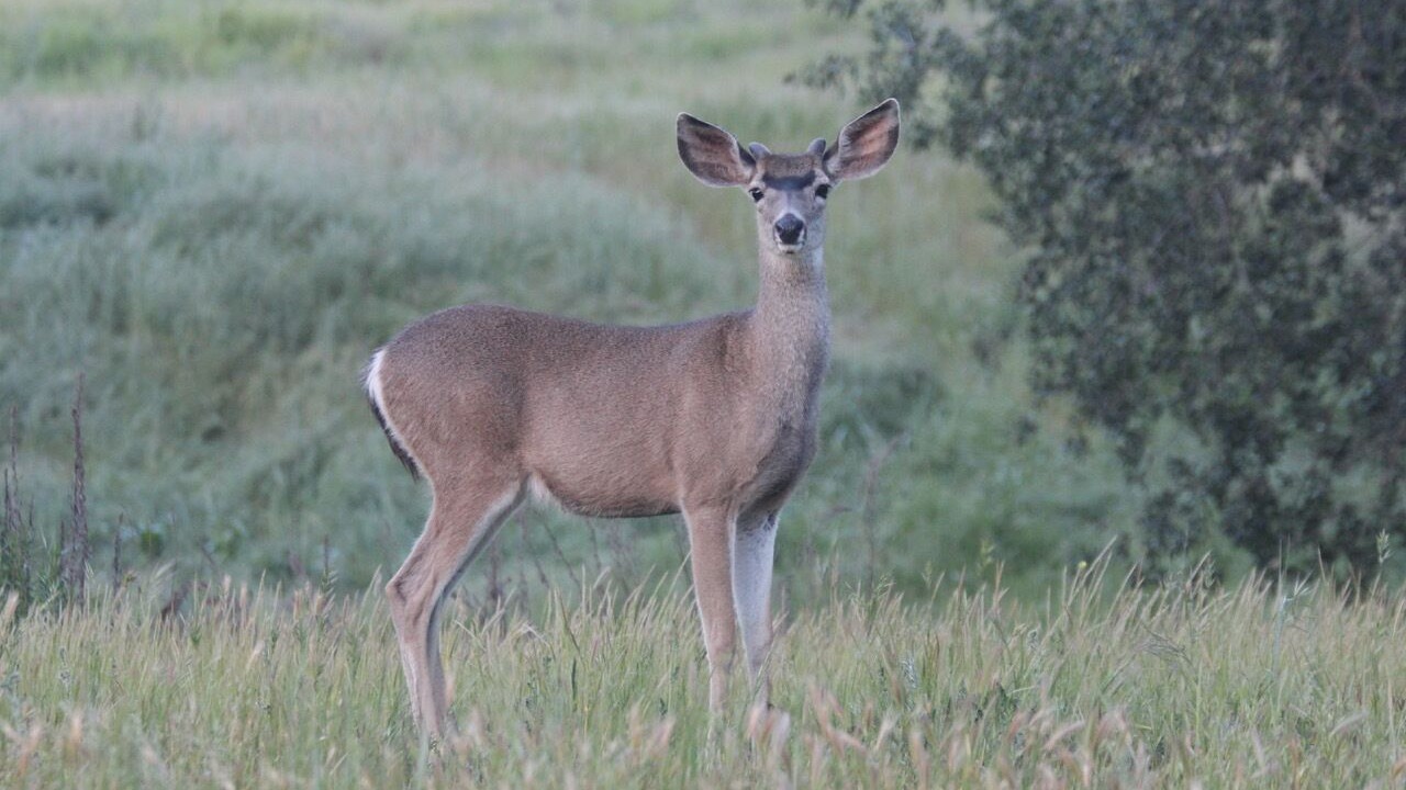 Photo of Outdoor in San Luis Obispo