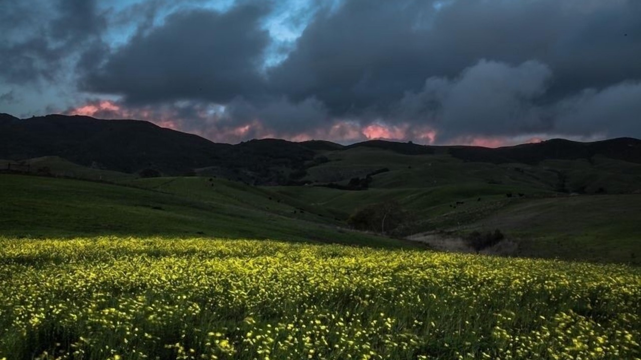 Photo of Others in San Luis Obispo