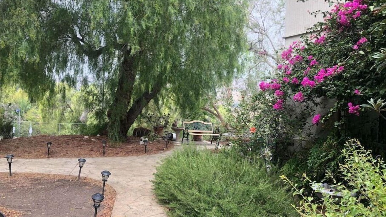 Photo of Outdoor in Agua Dulce
