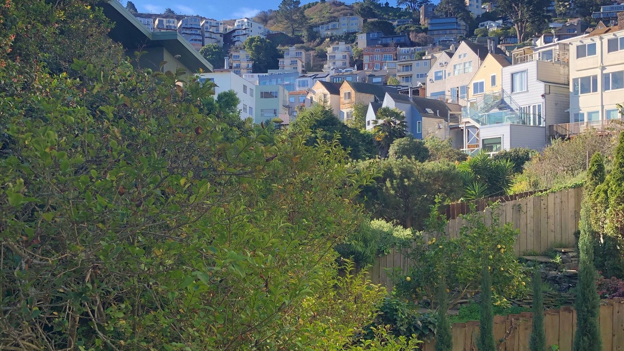 Photo of Others in Corona Heights