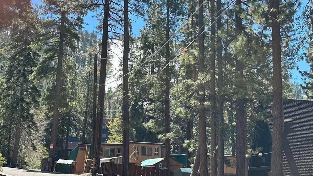 Photo of Others in South Lake Tahoe
