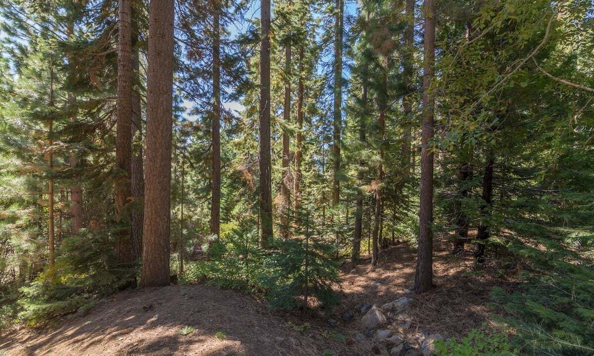 Photo of Others in Lake Forest