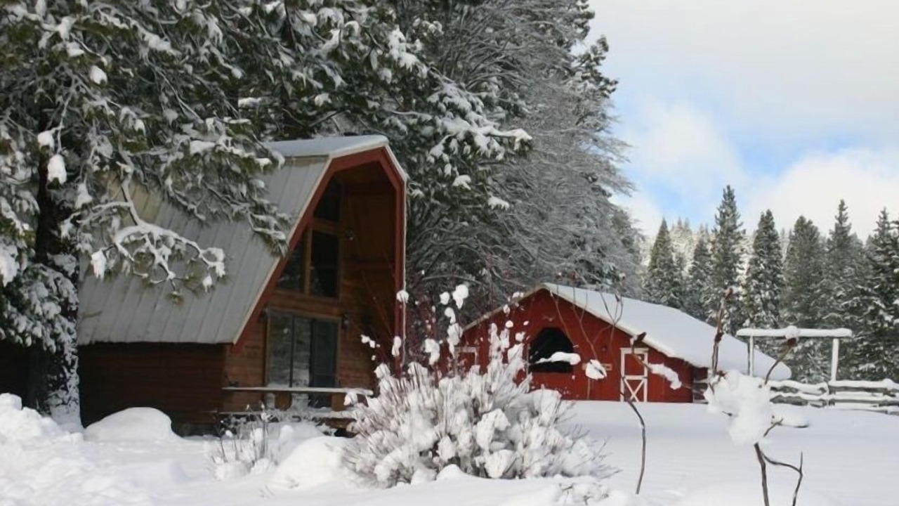 Photo of Others in Mount Shasta