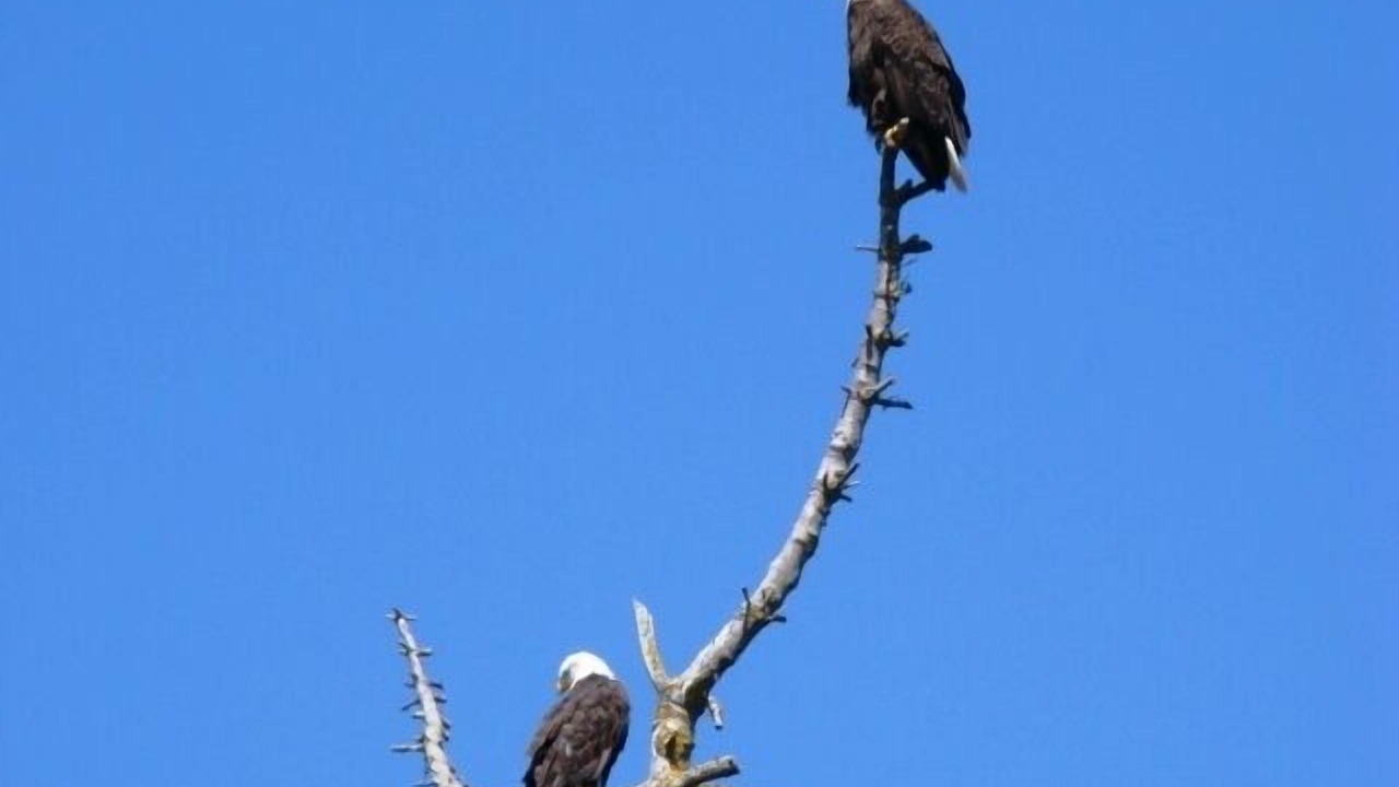 Photo of Others in Oak Harbor