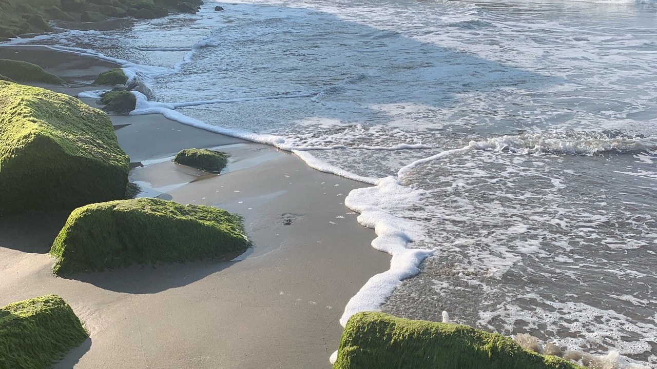 Photo of Others in Eastside Santa Cruz