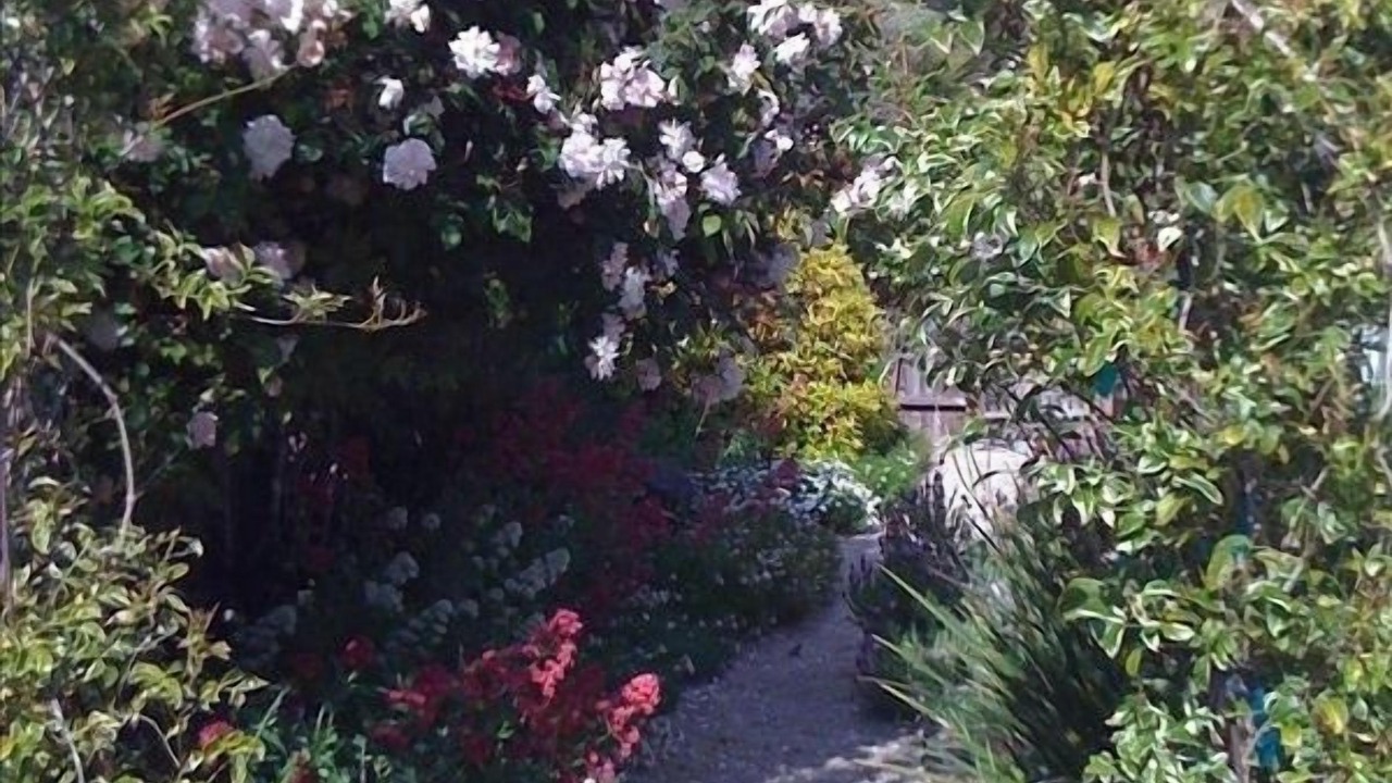 Photo of Others in Stinson Beach