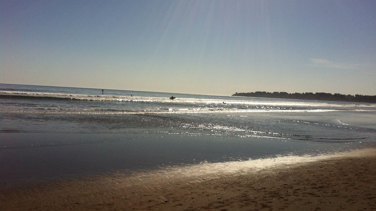 Photo of Others in Stinson Beach