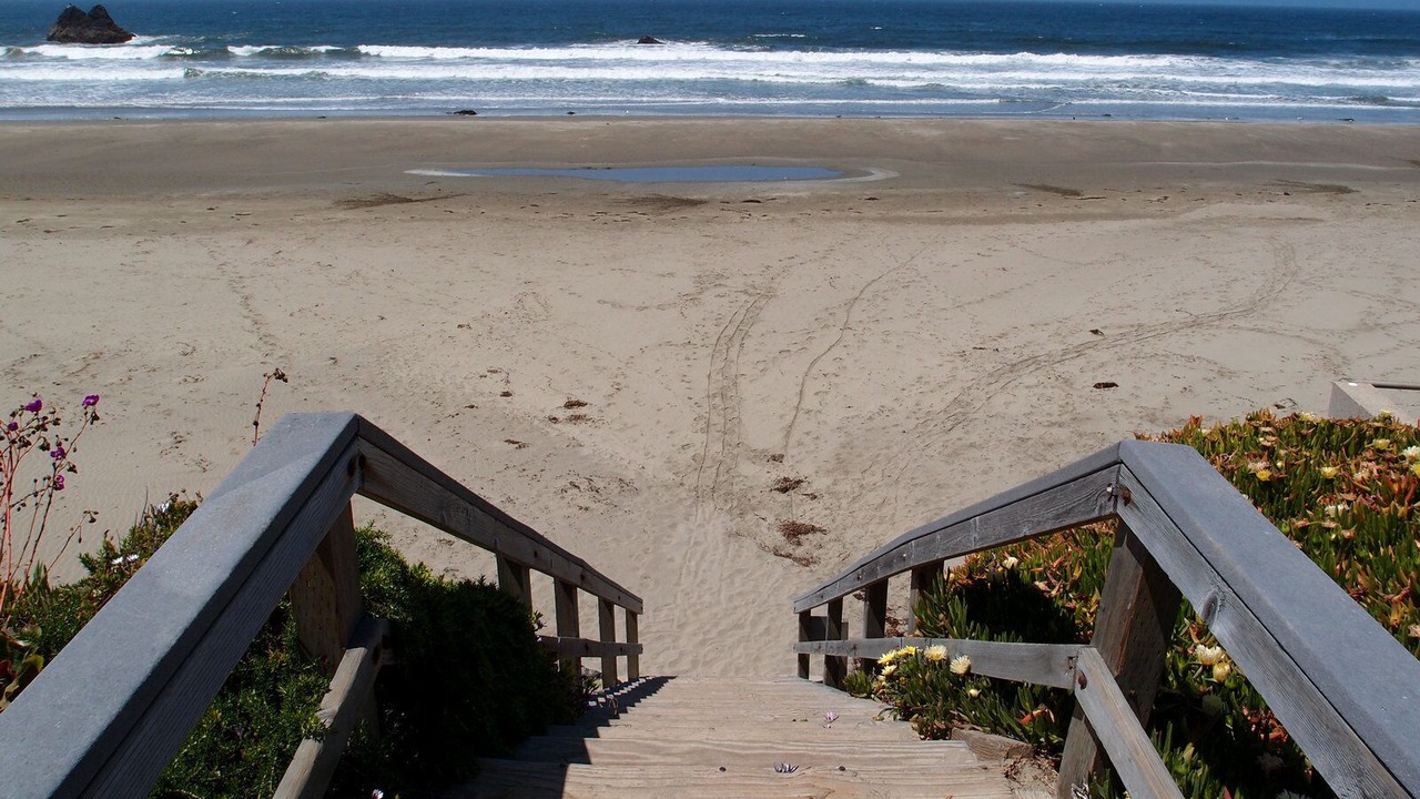 Photo of Others in Cayucos