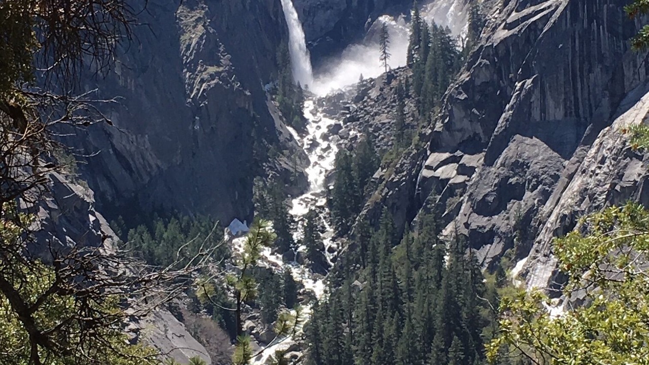 Photo of Others in Midpines