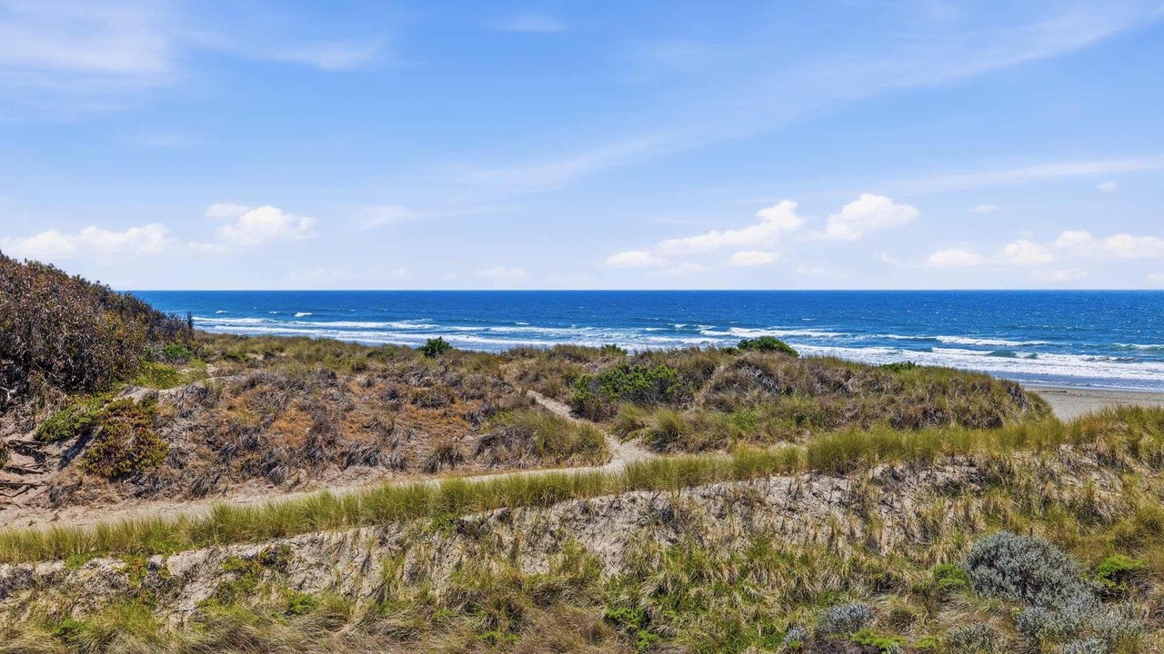 Photo of Others in Pajaro Dunes