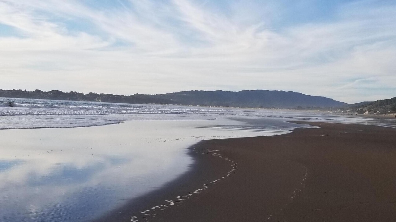 Photo of Others in Stinson Beach