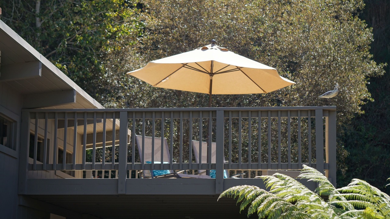 Photo of Outdoor in Rio del Mar