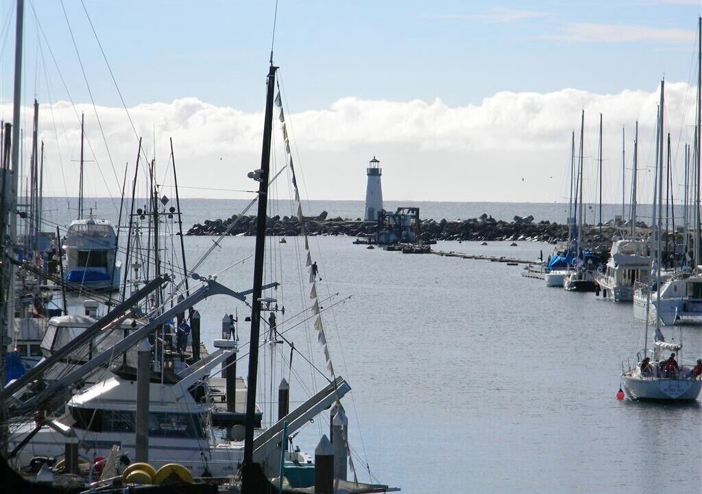 Photo of Others in Seabright
