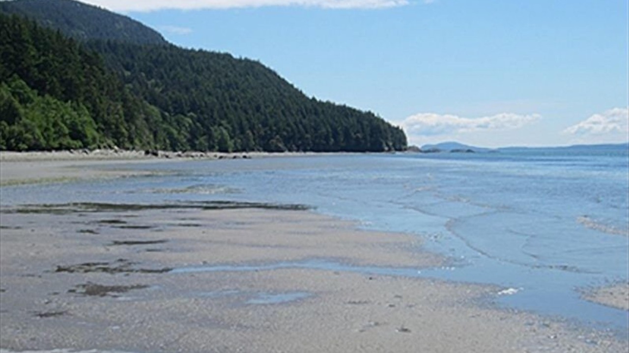 Photo of Others in Lummi Island
