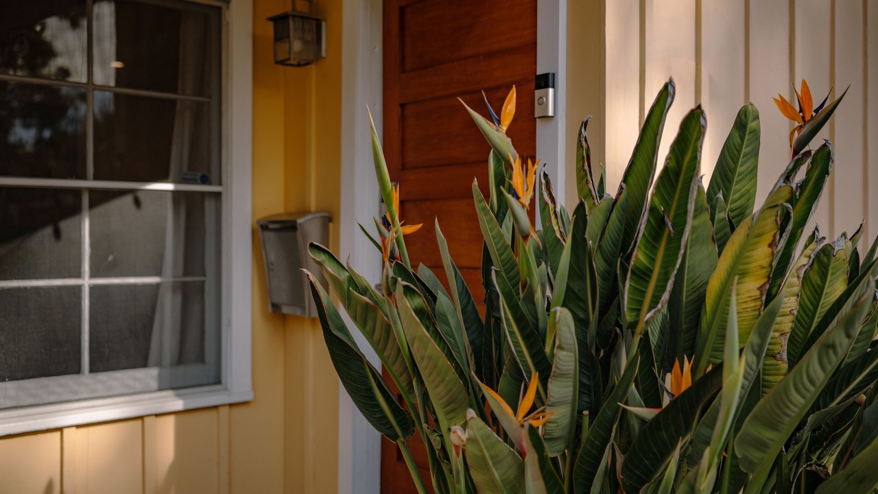Photo of Outdoor in Woodland Hills