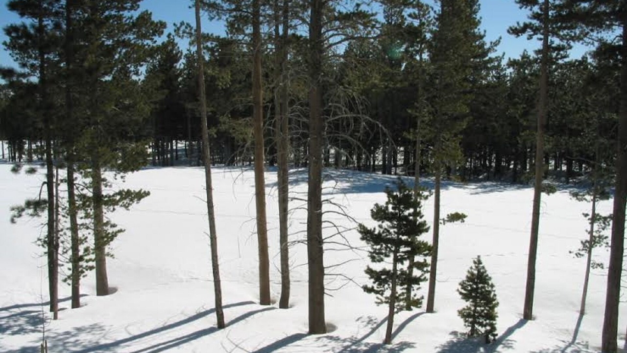 Photo of Others in Mammoth Lakes