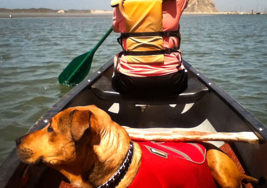 Photo of Others in Morro Bay