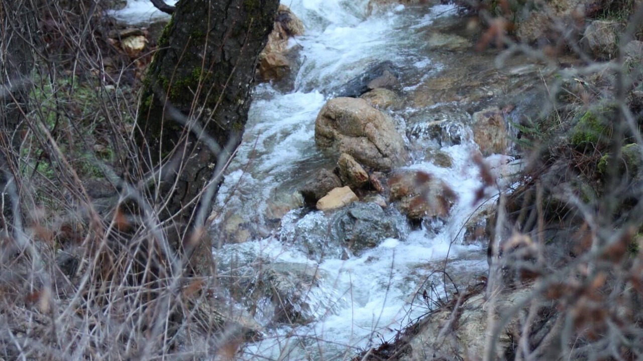 Photo of Outdoor in Lakehead
