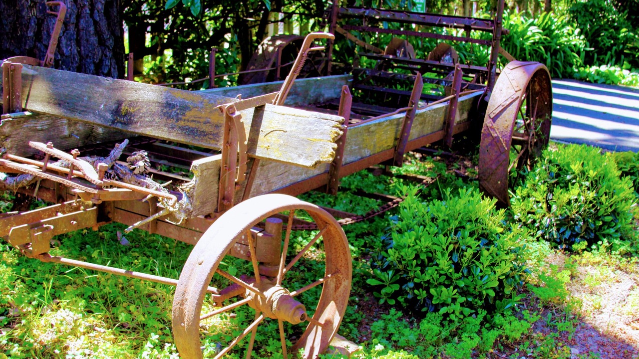 Photo of Outdoor in Napa