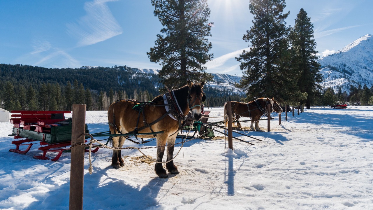 Photo of Others in Downtown Leavenworth