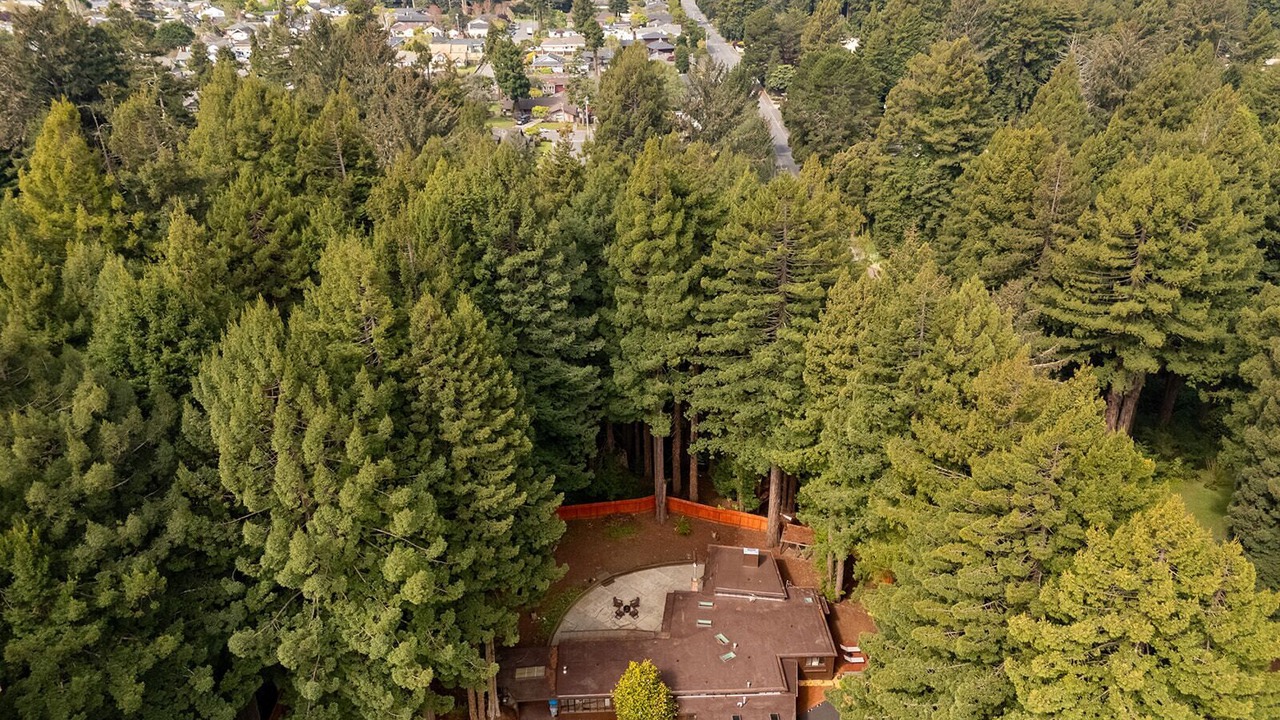 Photo of Outdoor in Eureka