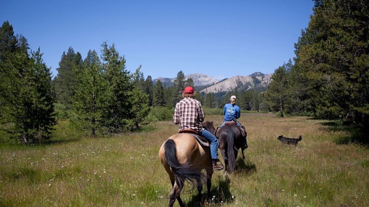 Photo of Others in Truckee