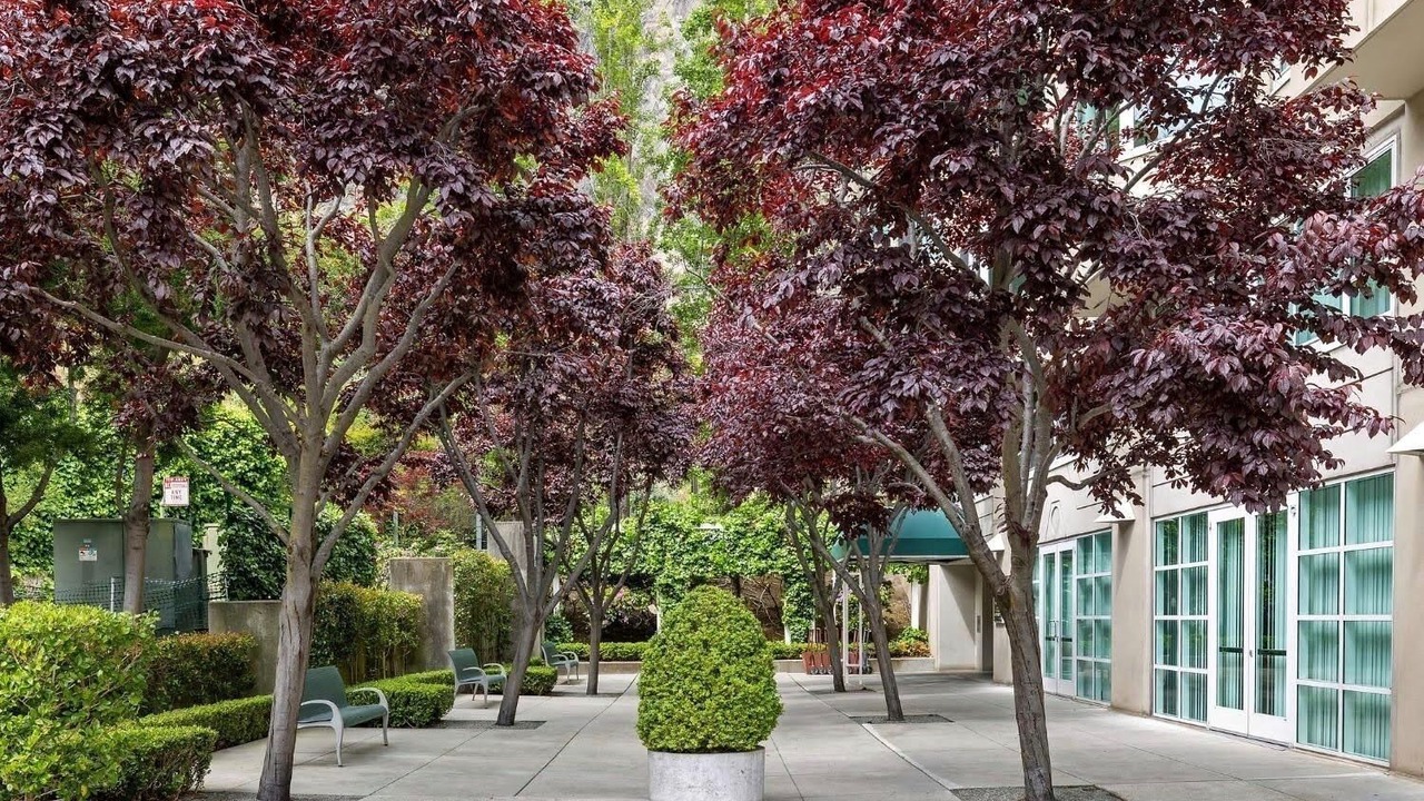 Photo of Outdoor in North Beach