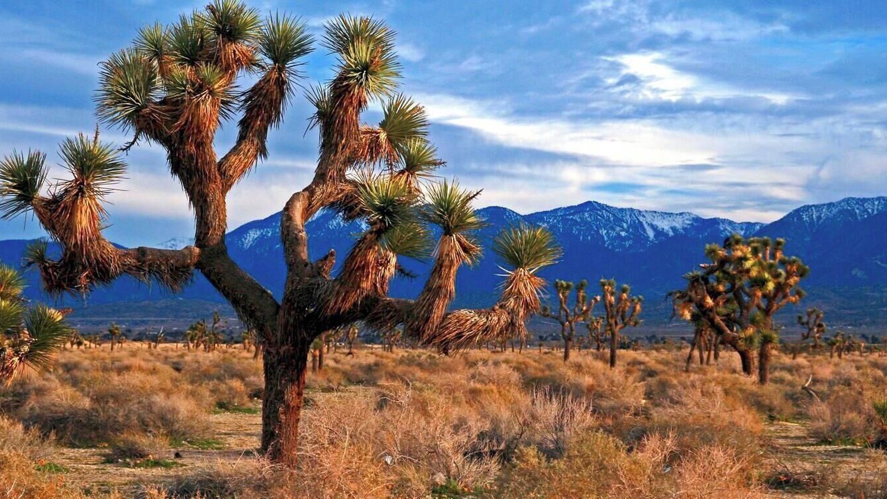Photo of Others in Redlands