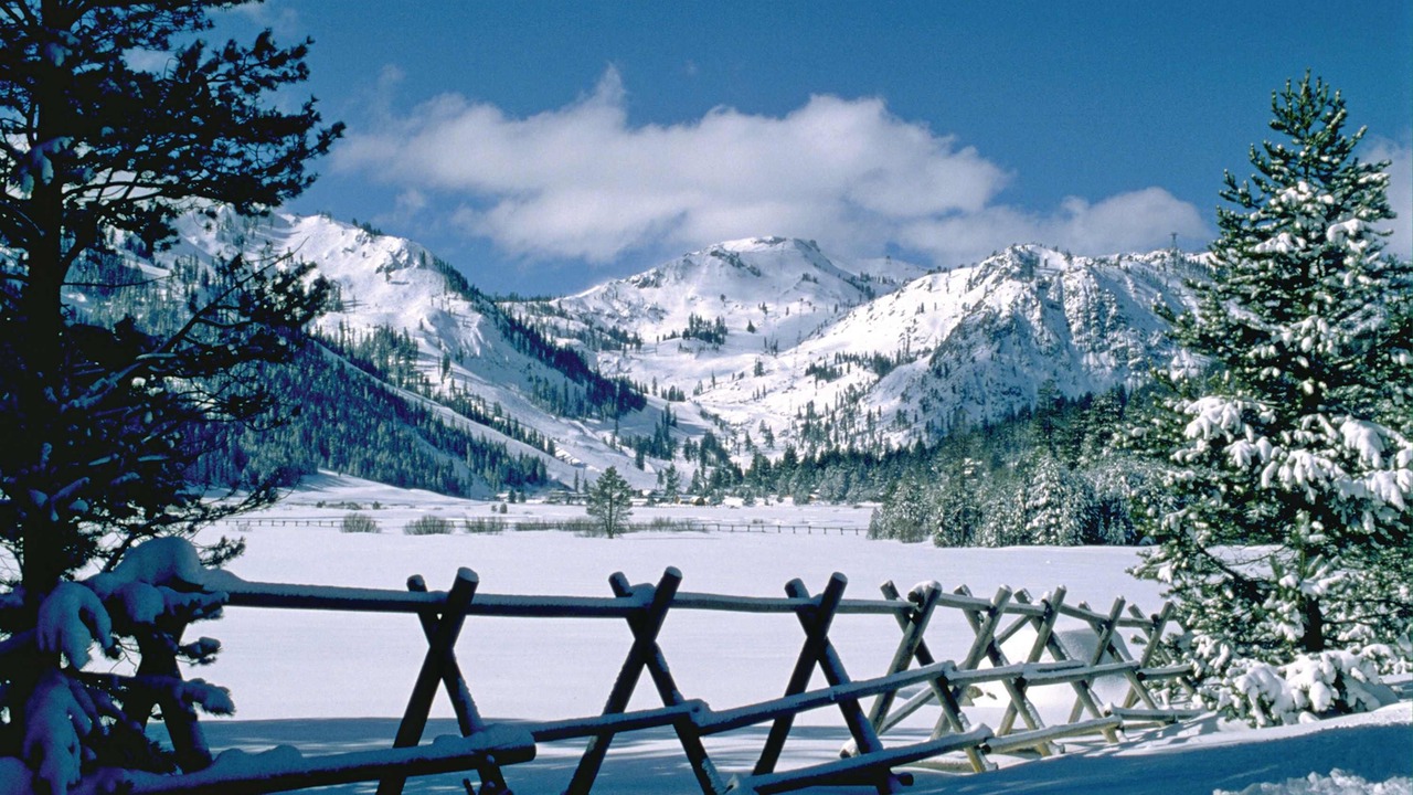 Photo of Others in Olympic Valley