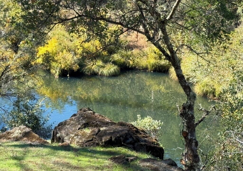 Photo of Others in Rackerby