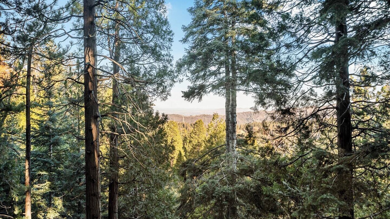 Photo of Others in Crestline