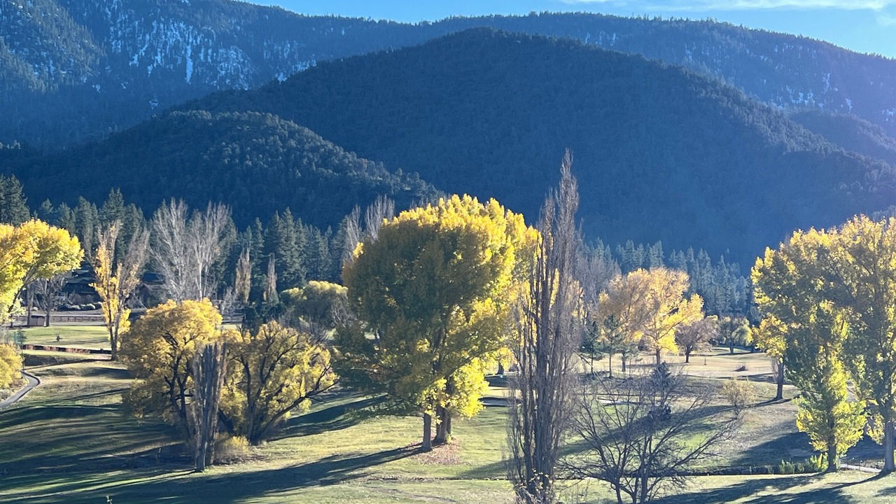 Photo of Others in Pine Mountain Club