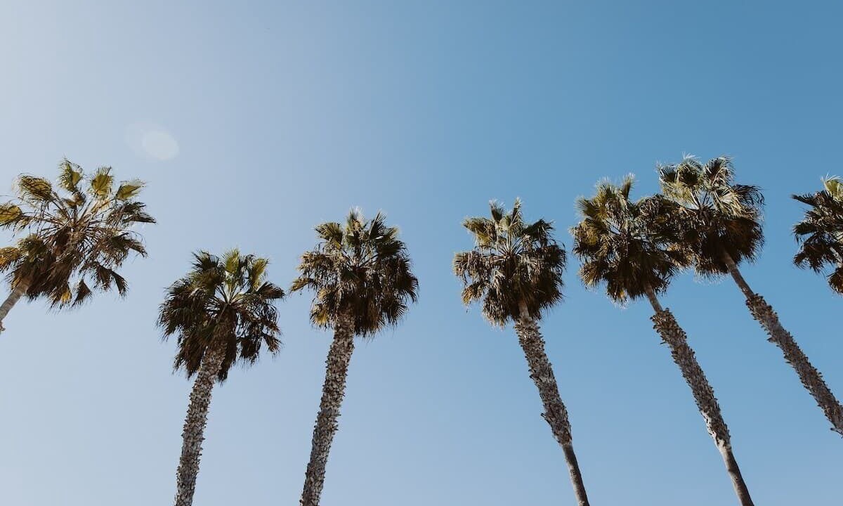 Photo of Others in Olde Solana Beach