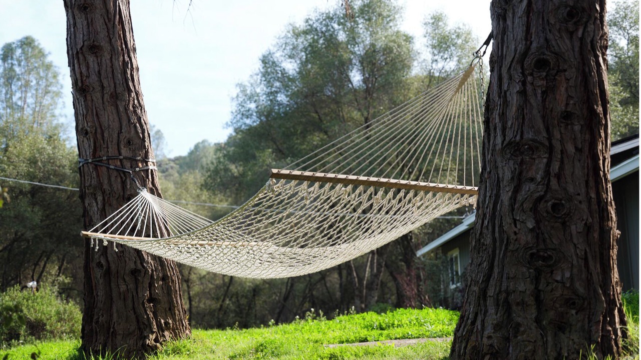 Photo of Outdoor in Mariposa