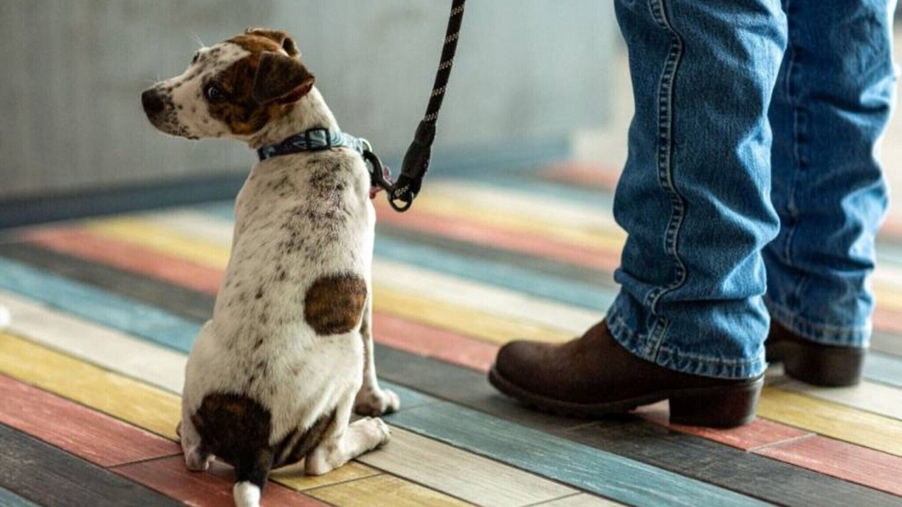 Photo of Others in Carousel