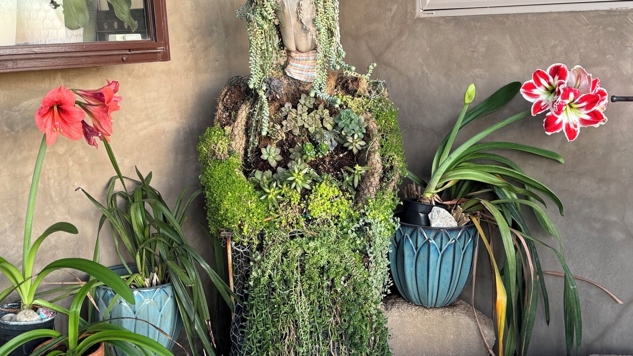 Photo of Outdoor in Agua Dulce