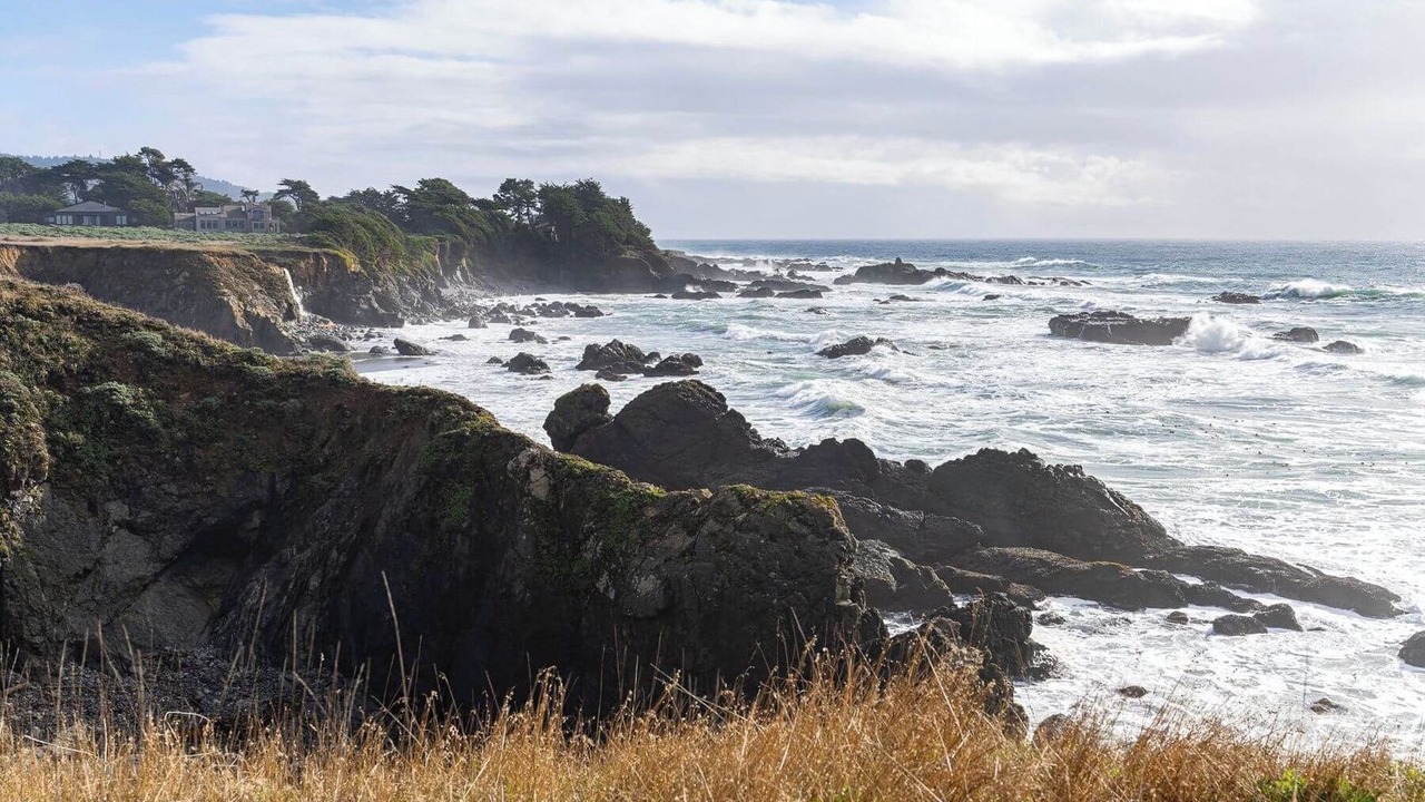 Photo of Others in Sea Ranch