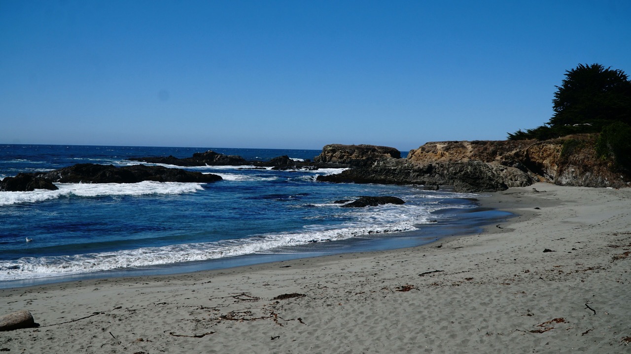 Photo of Others in Sea Ranch