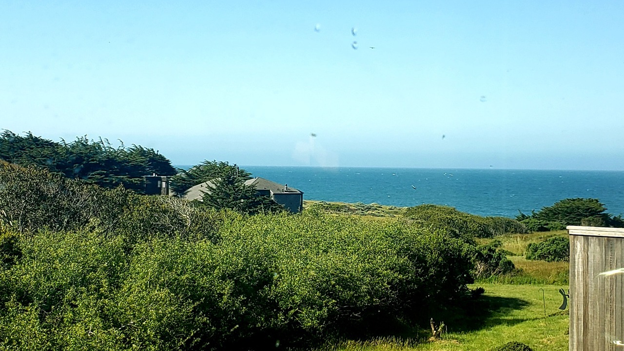 Photo of Others in Sea Ranch