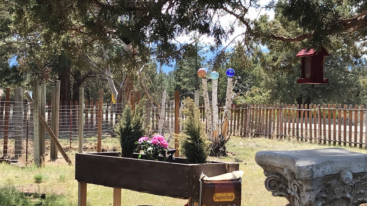 Photo of Outdoor in Weed