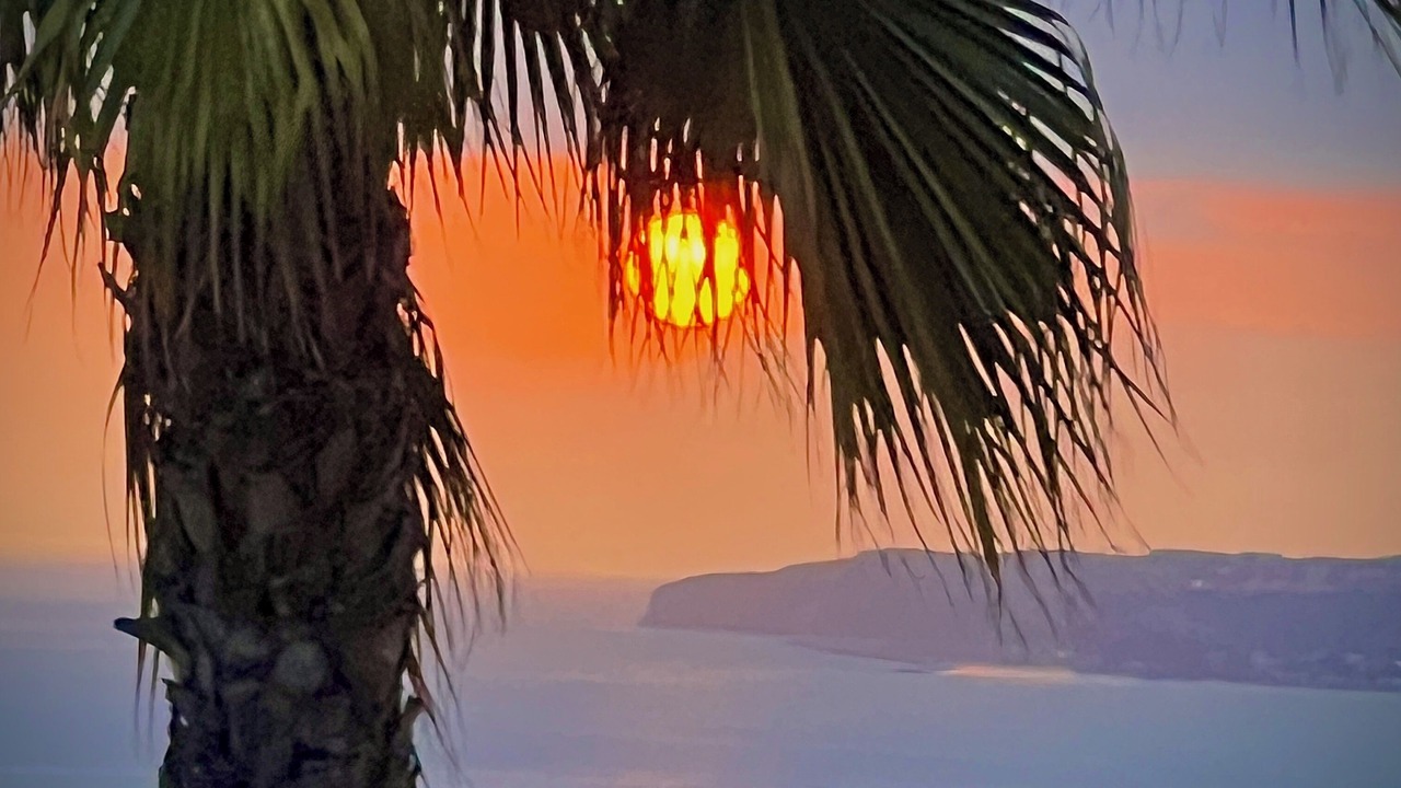 Photo of Others in San Clemente