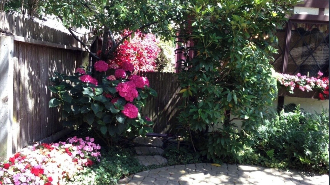 Photo of Outdoor in Golden Rectangle