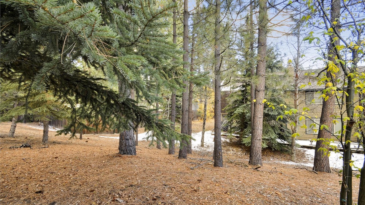 Photo of Outdoor in Lake Forest