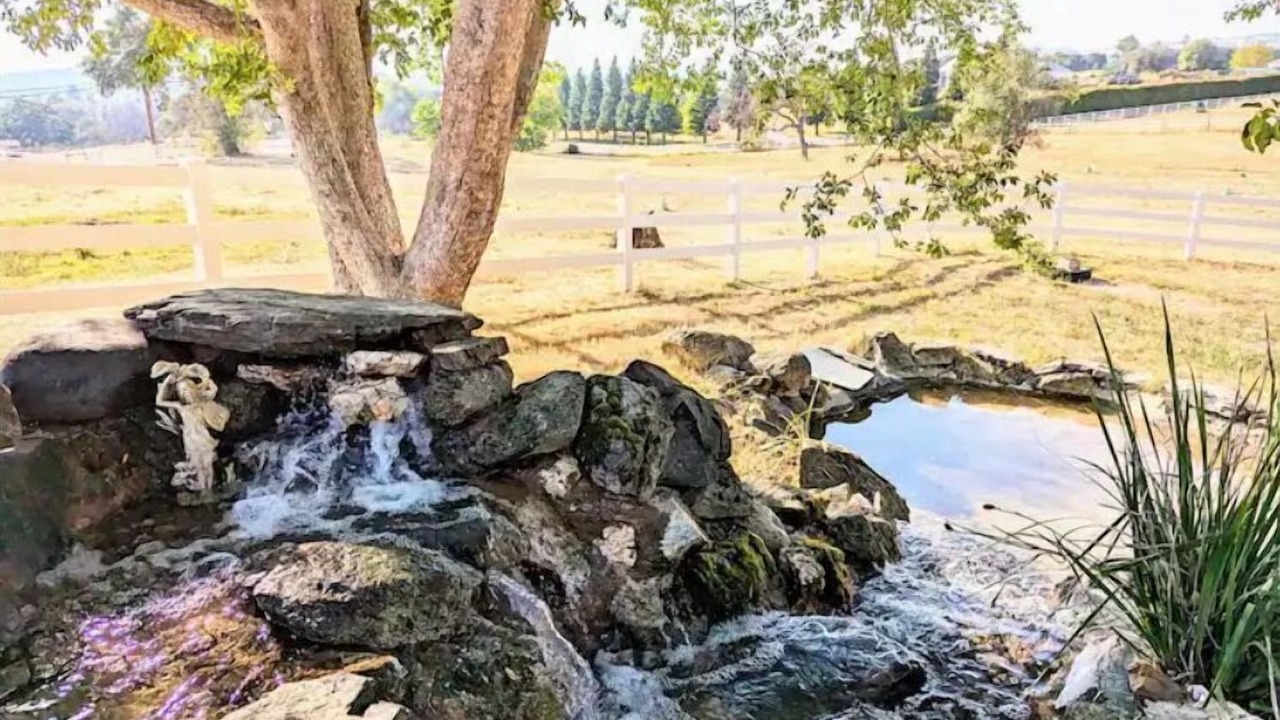 Photo of Outdoor in Cedar Ridge