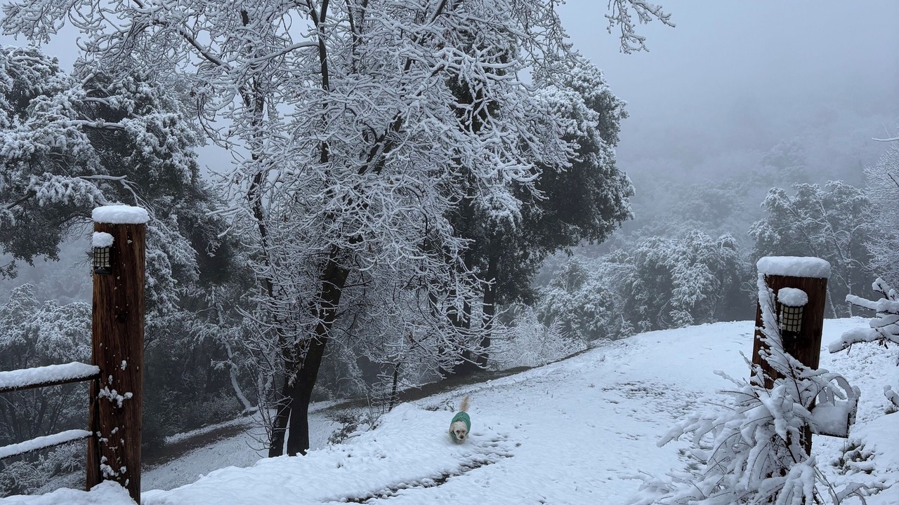 Photo of Others in Phoenix Lake-Cedar Ridge