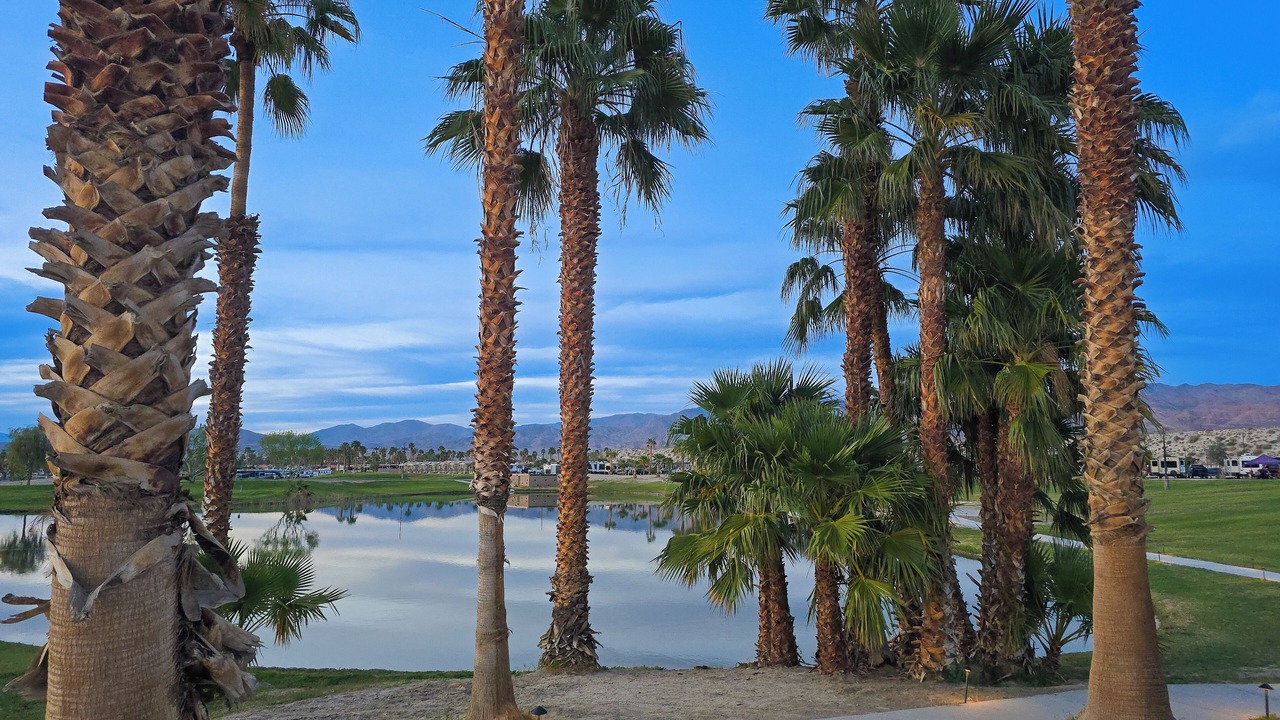 Photo of Outdoor in Coachella